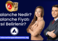 Avalanche Nedir? Avalanche Fiyatı Nasıl Belirlenir?