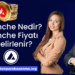 Avalanche Nedir? Avalanche Fiyatı Nasıl Belirlenir?