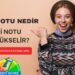 Kredi Notu Nedir? Kredi Notu Nasıl Hesaplanır? Kredi Notu Nasıl Yükselir?