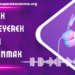 Müzik Dinleyerek Para Kazanmak