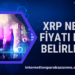 XRP Nedir? Fiyatı Nasıl Belirlenir?
