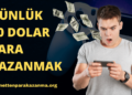 İnternetten Günlük 20 Dolar Para Kazanma